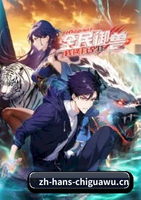 全视角星闻覆盖