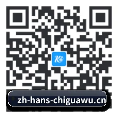 Android 饭圈版 二维码